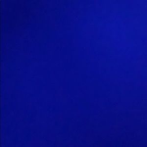 Meet your Posher, Savannah